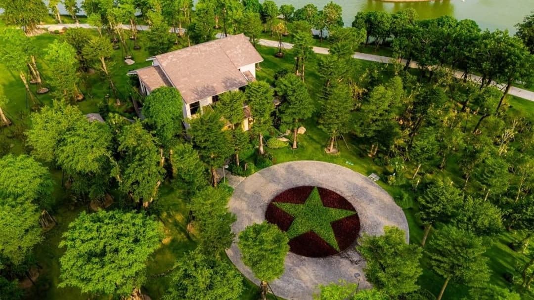Túi Rừng Miyazaki